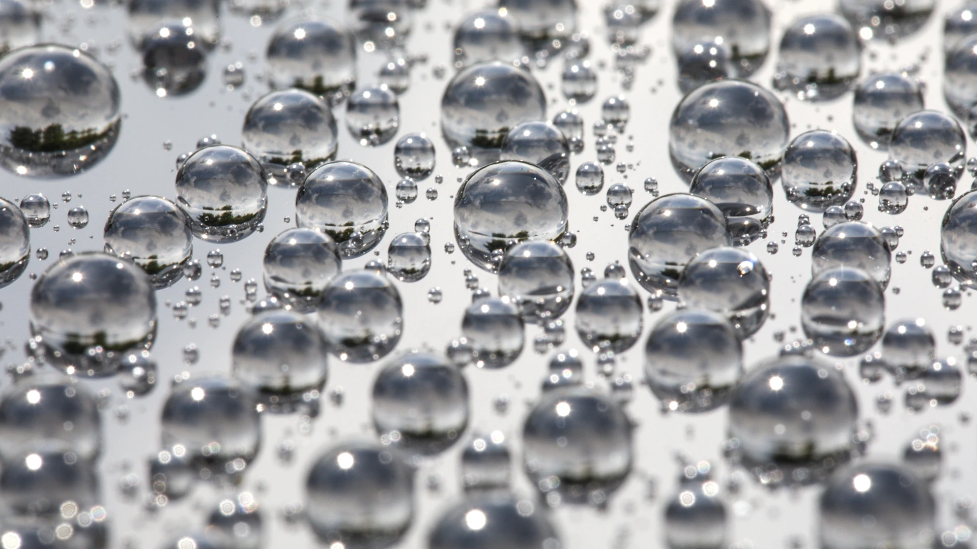 Close-up of water beading on a ceramic-coated surface showing high hydrophobic protection at Clear Cut Glass in Glendale AZ