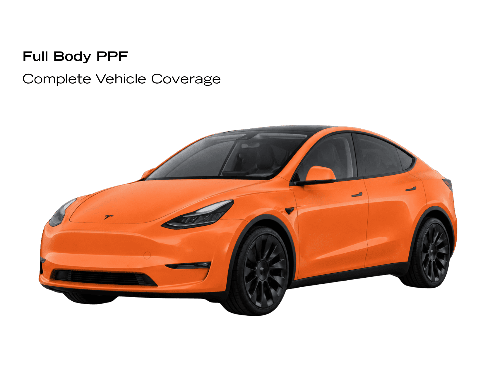 Tesla Model Y fully covered in paint protection film showing complete vehicle protection across all painted surfaces